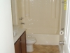 Brandon Ladd Bathroom